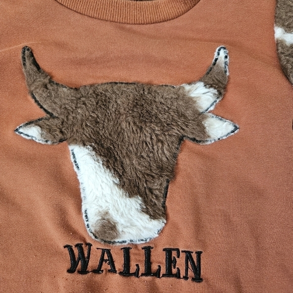 Wallen crew neck sweater with fleece arms 110/ 4T/5 T Bell Bottoms Kids Large - Picture 3 of 7
